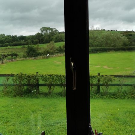 Catherine'S Lair A Quiet Peaceful Homestay Westport Camera foto